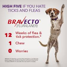 Bravecto 3