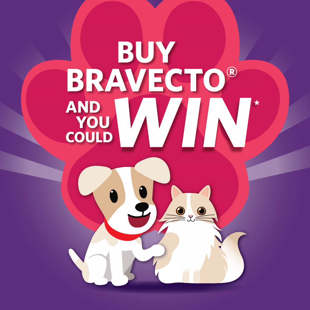 IT'S COMPETITION TIME - BUY BRAVECTO AND WIN!! - North Bundaberg Vet ...