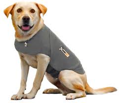 Thundershirt