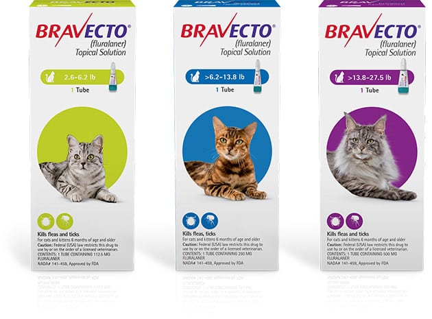 bravecto