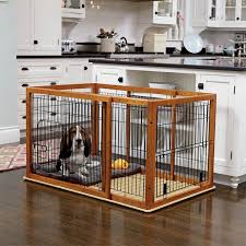 dog in crate