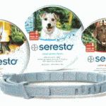 Seresto-Collars-650x362-353x196