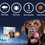 nexgard-2